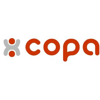 Θερμαντικά σώματα πάνελ COPA