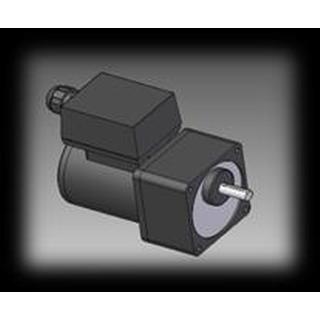 Motor and reducer for external feeder 25 Watt